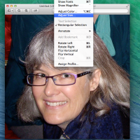 How to reduce a photo for your NaNo profile on MAC