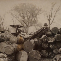 Steam-powered Sawmill Stories on History Undressed